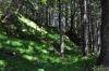 LAN_20120607_7232
