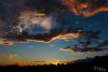 LAN_20120822_9134_1