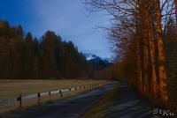 LAN_20121119_0398_1