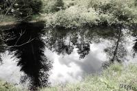 LAN_20130601_2831_1