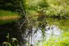 LAN_20130601_2834_1