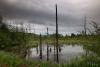 LAN_20130601_2870_1