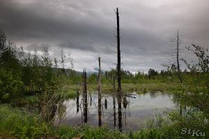 LAN_20130601_2870_1