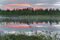 LAN_20130707_4625_1