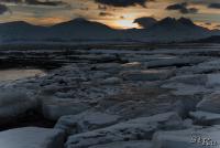 LAN_20140205_8589_1