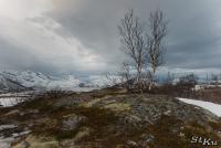 LAN_20140205_8731_1