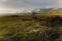 LAN_20140731_6729_2