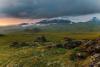 LAN_20140731_6747_2