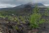 LAN_20140731_6876_1
