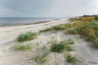 LAN_20141005_8975_1