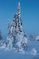 LAN_20150110_9145_1