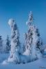 LAN_20150110_9149_1