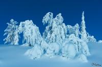 LAN_20150110_9161_1