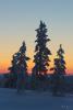 LAN_20150110_9251_1