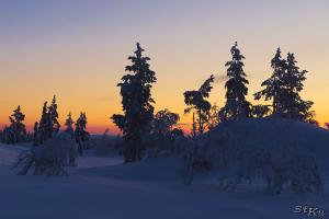 LAN_20150110_9258_1