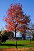 LAN_20151107_1776