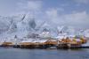 LAN_20160118_2167