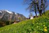 LAN_20160505_5407