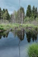 LAN_20160609_5911