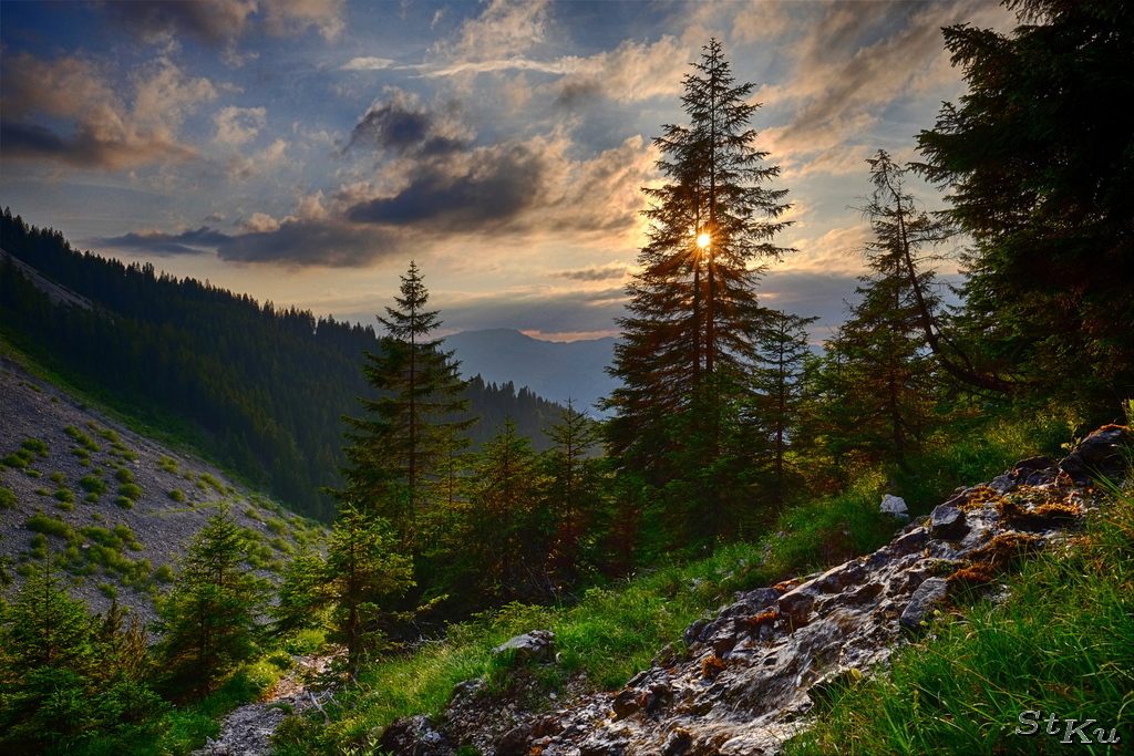 Gaisalpsee Juli 2016