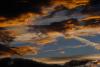 LAN_20180813_7175