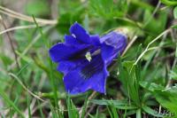 PFL_20120607_7187