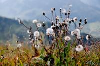 PFL_20120918_9250_1