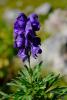 PFL_20160924_0029