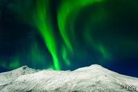 POL_20130125_0942_1