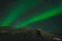 POL_20140205_8177_1