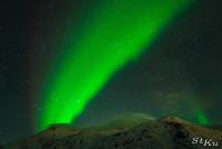 POL_20140205_8180_1