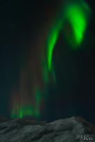 POL_20140205_8401_2