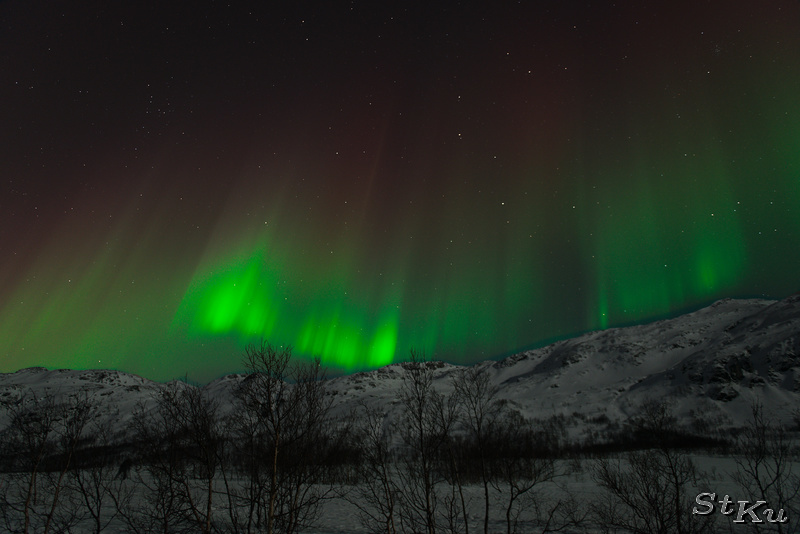 Tromsø Februar 2014