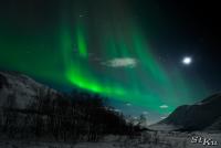 POL_20140205_8453_1