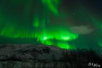 POL_20140205_8467_1