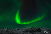 POL_20140205_8484_1