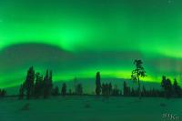 POL_20150110_9194_1
