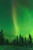 POL_20150110_9239_1