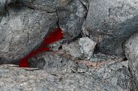 SON_20140731_7038_1