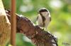 TIR_20120527_6634_1
