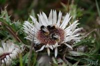 TIR_20120918_9248_1