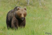 TIR_20130707_3705_1