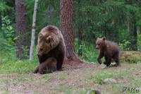 TIR_20130707_4318_1