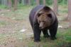 TIR_20130707_4385_1