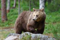 TIR_20130707_4780_1