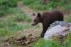 TIR_20130707_4838_1
