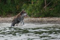 TIR_20140731_4439_1