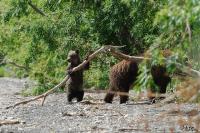 TIR_20140731_6056_1