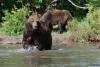 TIR_20140731_6538_1