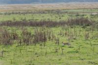 TIR_20141005_9014_1